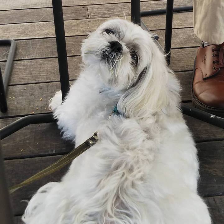 Ed017daa eee1 4683 a26a 6455ef7c6fbe 1573303223739