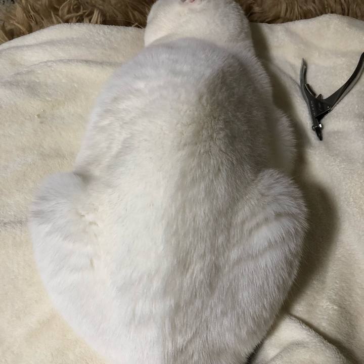 Ed018c0c 3436 4206 b4d2 4d188b6c4174 1578916027807