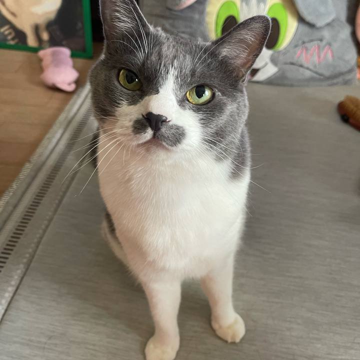 Ed019d2f 50ef 4a5c b2e6 c5585d718e01 1753582480418