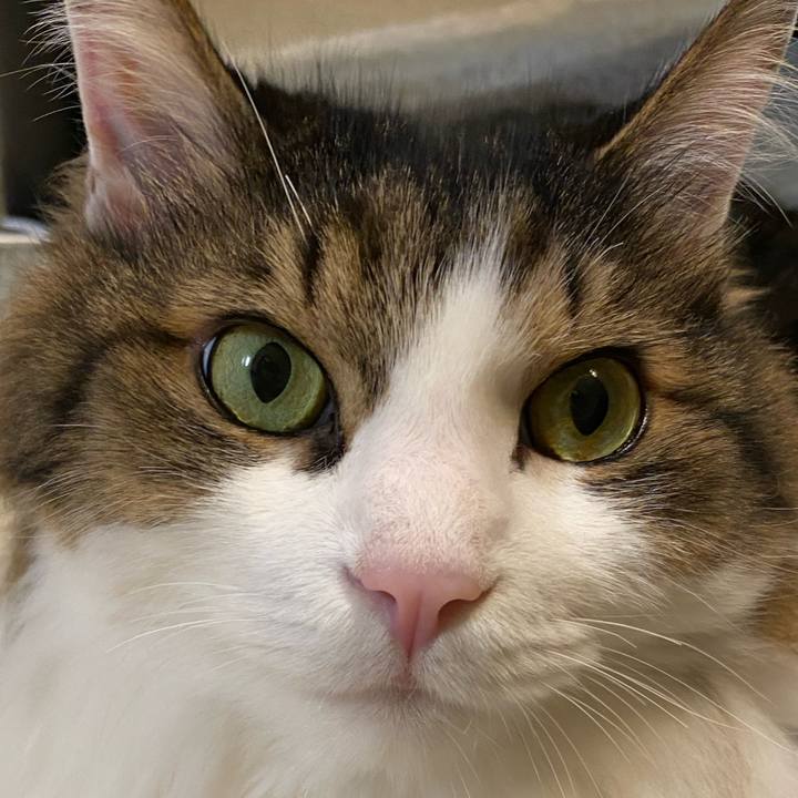 Ed01abb7 657b 4dc7 b764 169e0079b49c 1670020038461