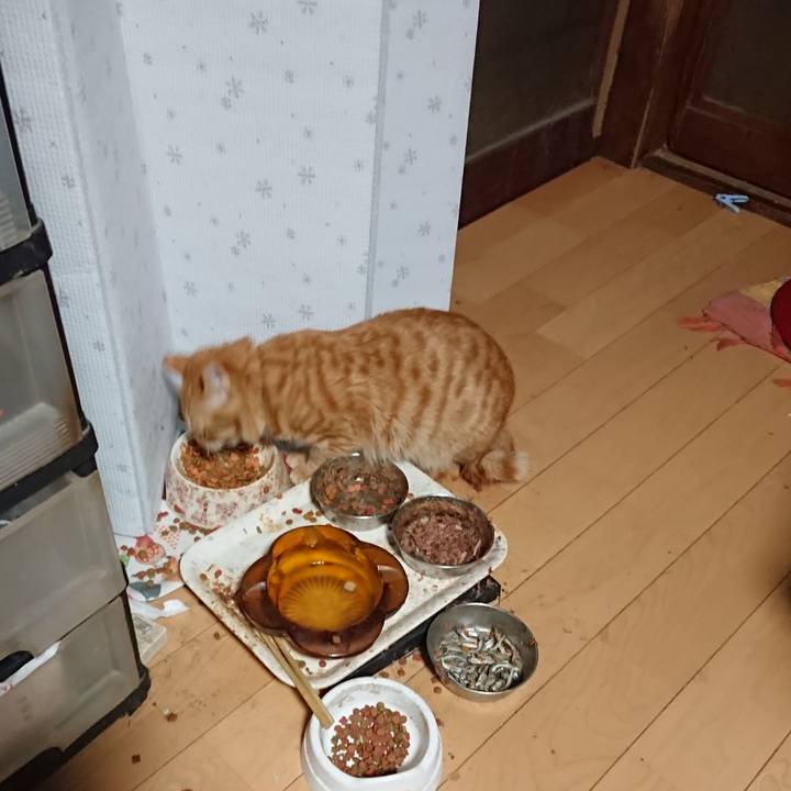 Ed02415a 240b 4da3 b13a 06285ada7447 1646599965182