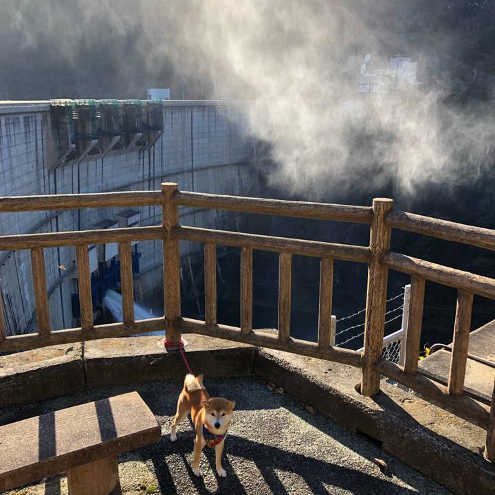 Ed0255ee 9d23 4d51 8a95 0590206217ff 1544772189372