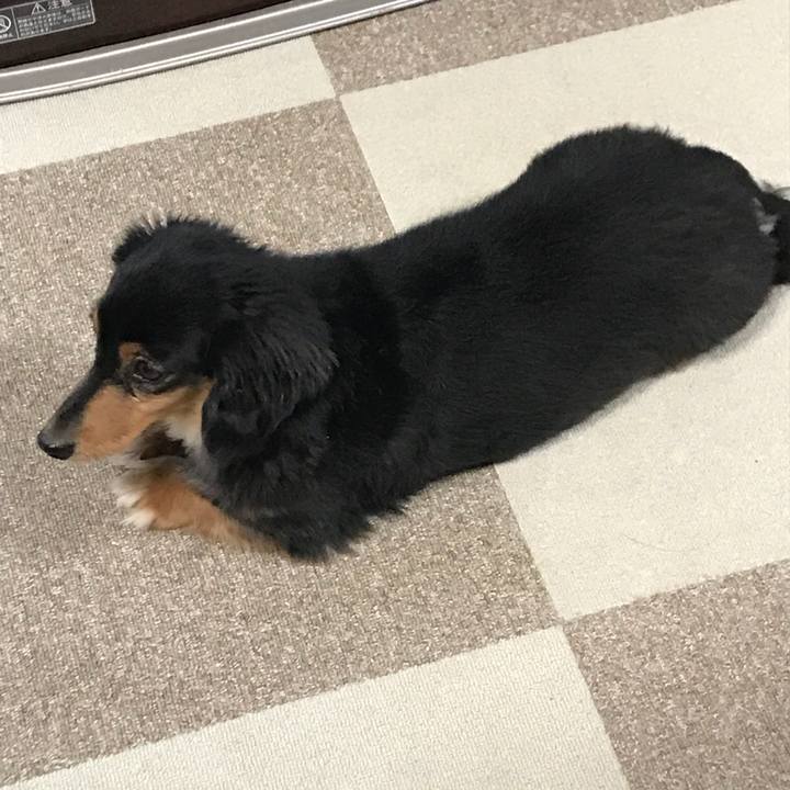 Ed027cf1 d3dd 408f 9aca 4ea6ad61eeed 1512424147519