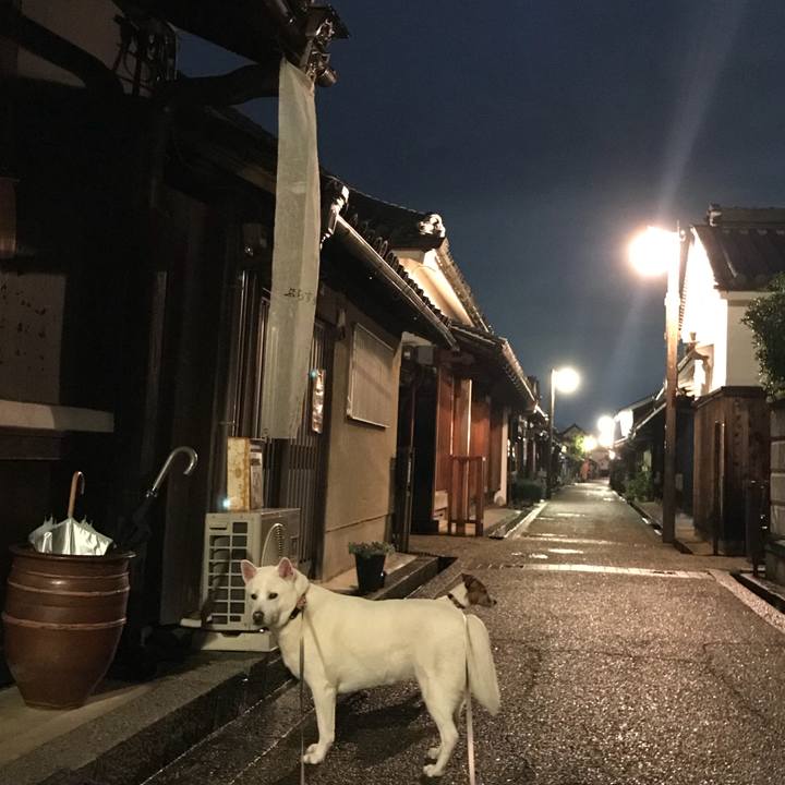 Ed029f72 e9ce 42a7 990c cefb8cb2fb90 1509182185072