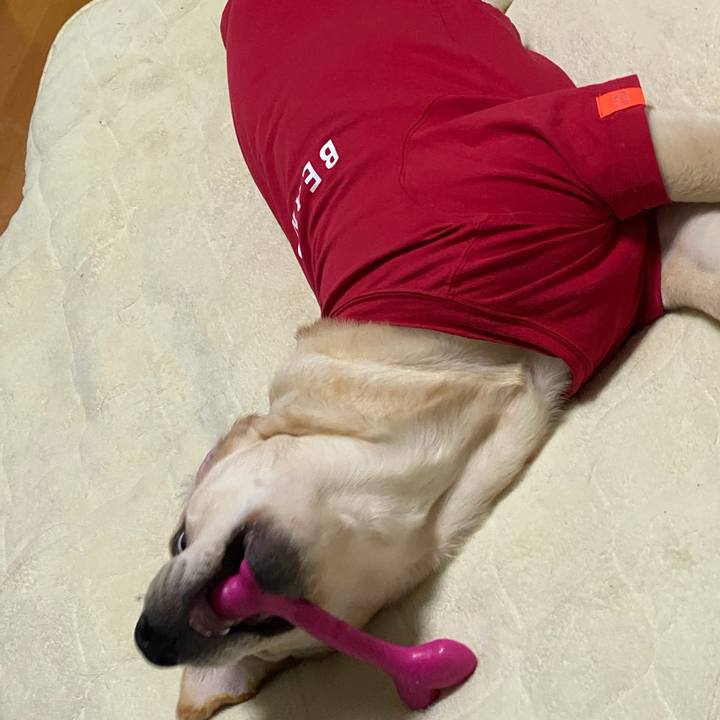 Ed02a41f f3c9 4309 950d dd593a918379 1619132275169