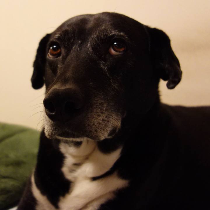 Ed02a5d1 69db 4993 9f52 329b3b483c61 1748516821353