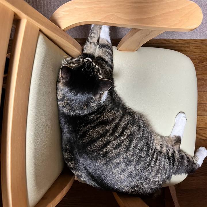 Ed02becf 22c8 49af b8df ca3b480e3faf 1776381447699