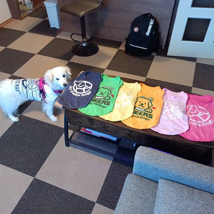 Ed02eaf1 f658 40d2 b4e2 3e56c5cc26ce 1755830581824