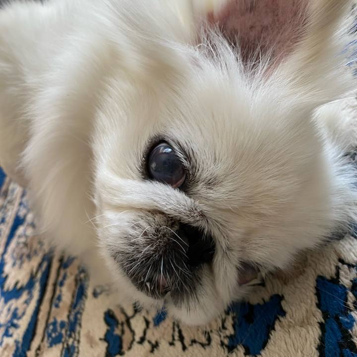 Ed031114 abfc 4648 99c8 220fb5793389 1651129293437