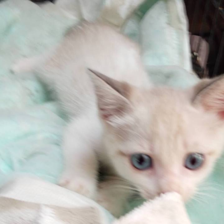 Ed034a66 0337 468b 85d0 2947d6ea5dd9 1597107152130