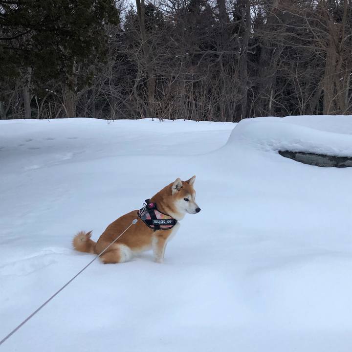 Ed039fa2 fd86 4ff8 8d6f 7e8a9e128703 1583372316722