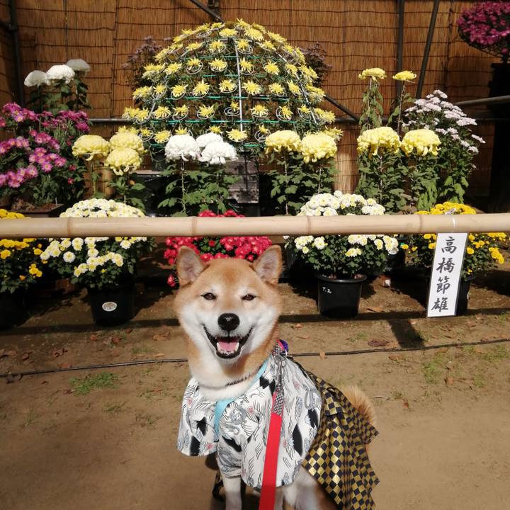 Ed03ce38 7e58 4bf5 b823 c4cfe9e0fcab 1668095409367