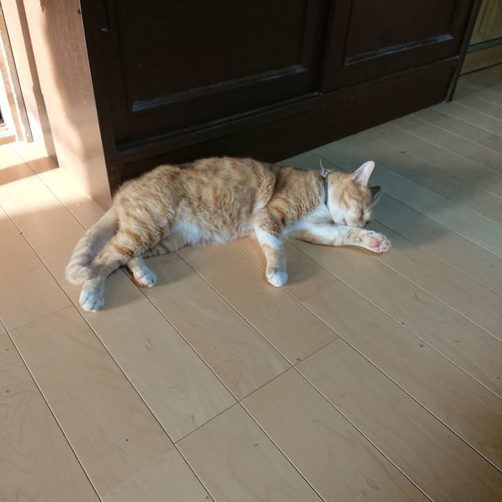 Ed03d153 6533 4f4c aa2f c0c02f7d3c8f 1597093425763