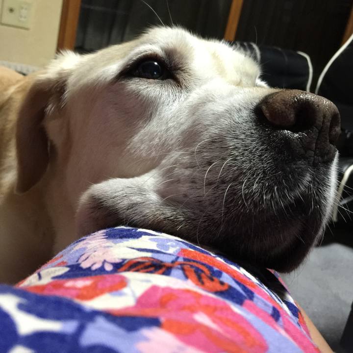 Ed03df40 6e25 4445 8469 50deae82a09e 1570274725994