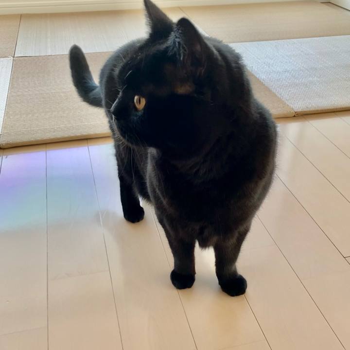 Ed03e54b e403 4702 acf2 d789b14a799b 1636673404545