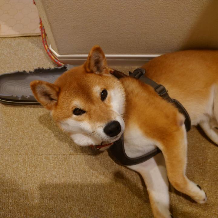 Ed03f235 a5ea 4958 aaec 454fac5f5180 1764286996948