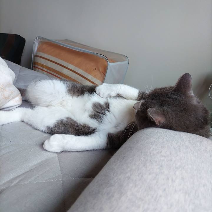 Ed044e7f c698 4af5 bd83 270d10436be9 1687660915861