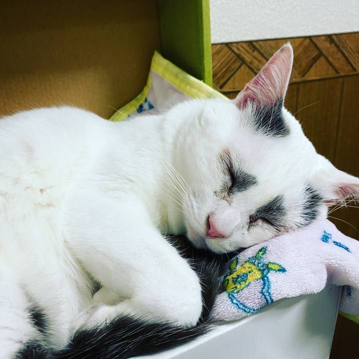 Ed045b39 b559 49c1 b530 1636c8426bd9 1616420455408