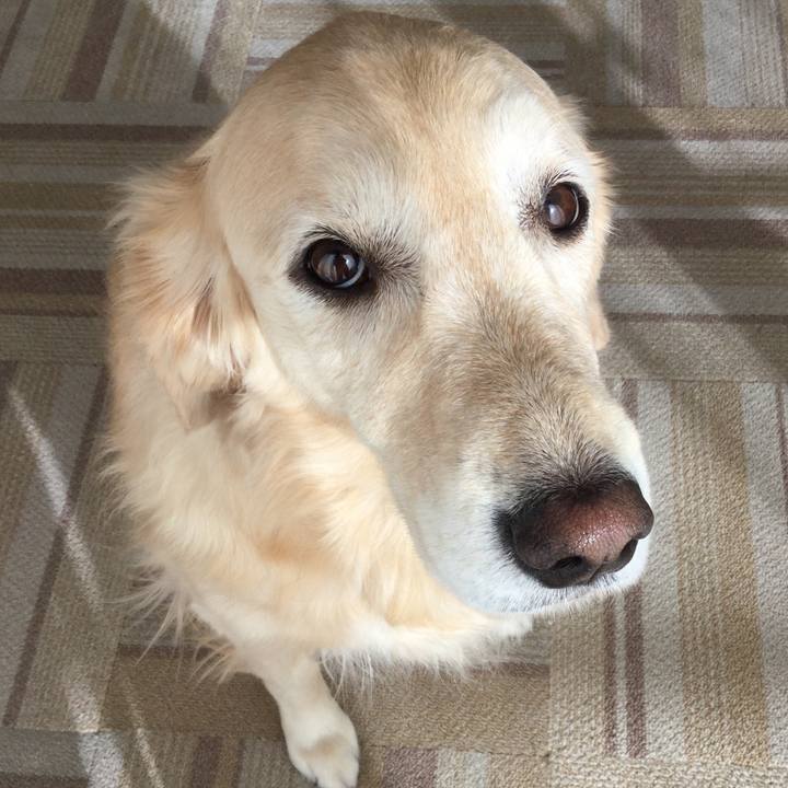 Ed047a43 6234 413f a459 e2763d22dc21 1512176254550