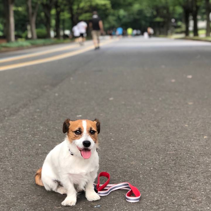 Ed0487e1 6092 4f70 86f7 743866da2be4 1528552662079