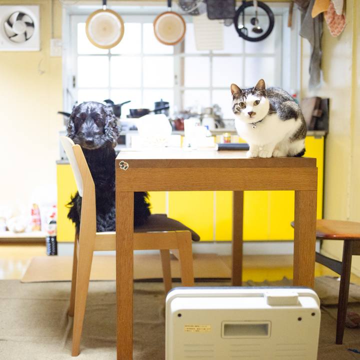 Ed04b83f 098b 4bc9 bfee 31549b80549a 1551367132700