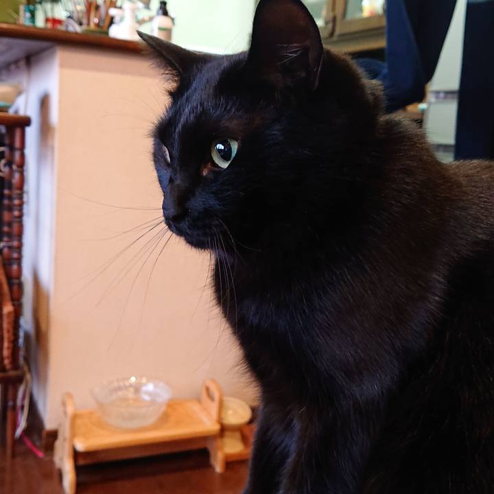 Ed04c23c d3ab 480b bb01 f98068c4e6a5 1547692445710