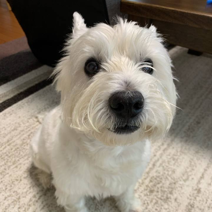 Ed04cd8d b37b 4ce5 980b 1a4a92ef4ea2 1593586908634