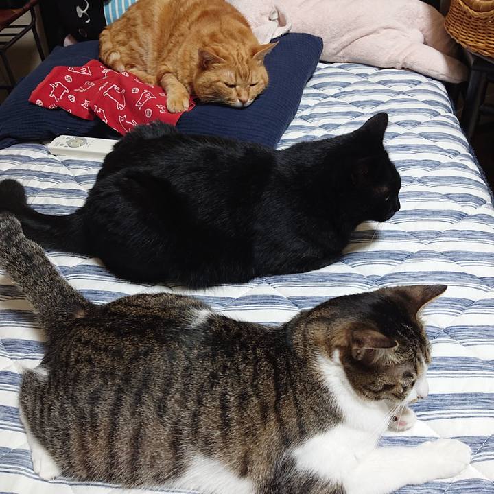 Ed04d89a 28d6 47fe b79e 97d74611be38 1593389173549