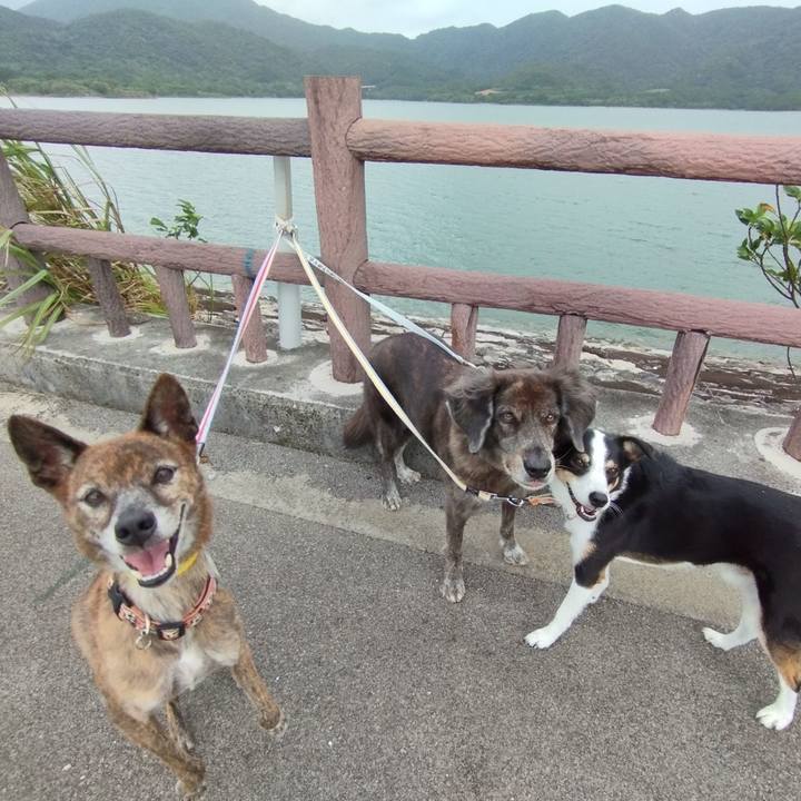 Ed04e6f0 66b4 4156 90c0 8e045a0445cb 1730815558535