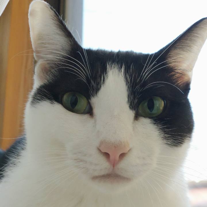 Ed04f464 17db 404b afaa dbdbd1a39ab5 1541467904068