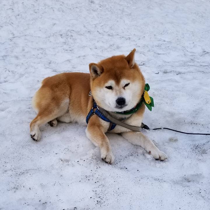 Ed050024 cdec 49b9 ae2a 2dd81ed68d1b 1553141366697