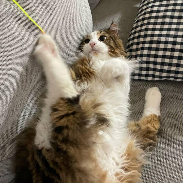 Ed051ac1 cffc 468f 8f50 0fbf84628c59 1657394883062