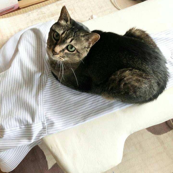 Ed053706 e61c 494a a627 28890fafa9c5 1649646411216