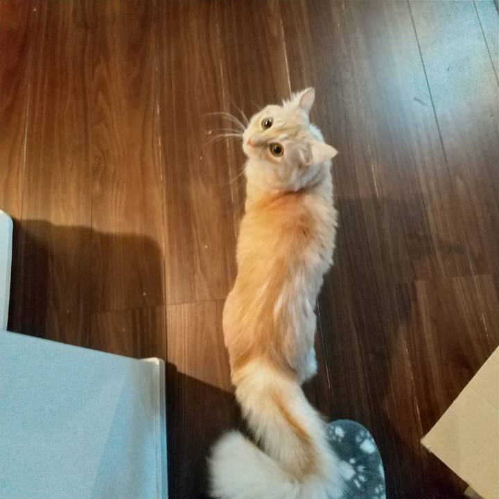 Ed053ce9 cf37 4df2 bfda 4683deeea4ac 1641338604365