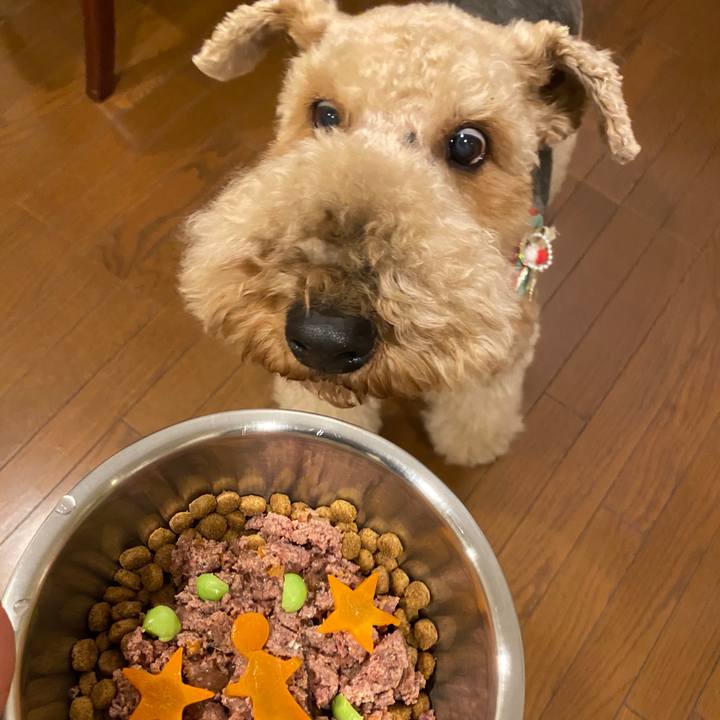 Ed057045 917a 41cd 959f 589dad30eff0 1608807450974