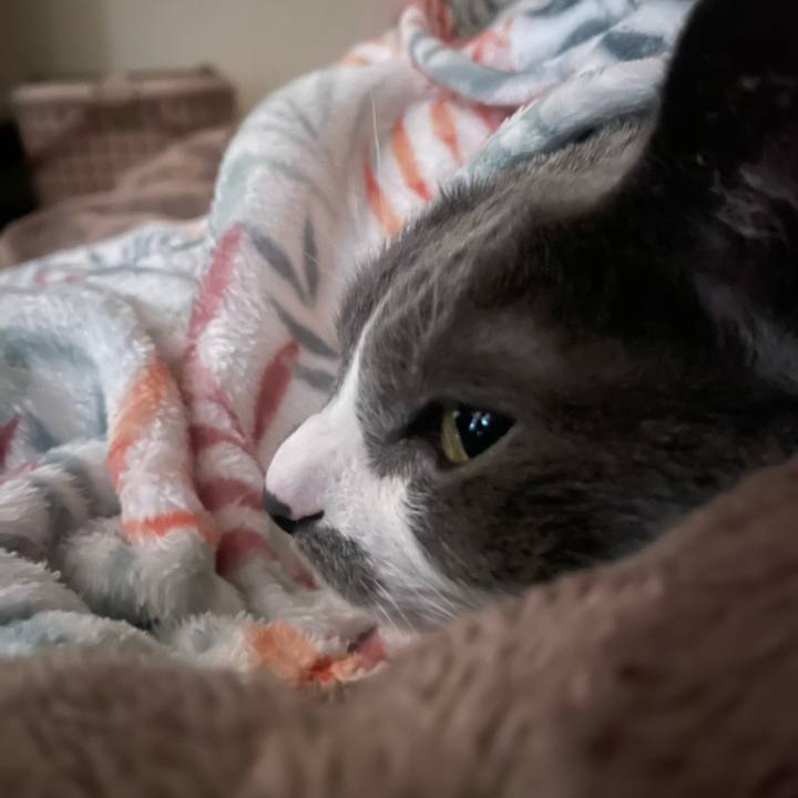 Ed05723e 9d48 45e9 a752 d62507d378fd 1735339408257