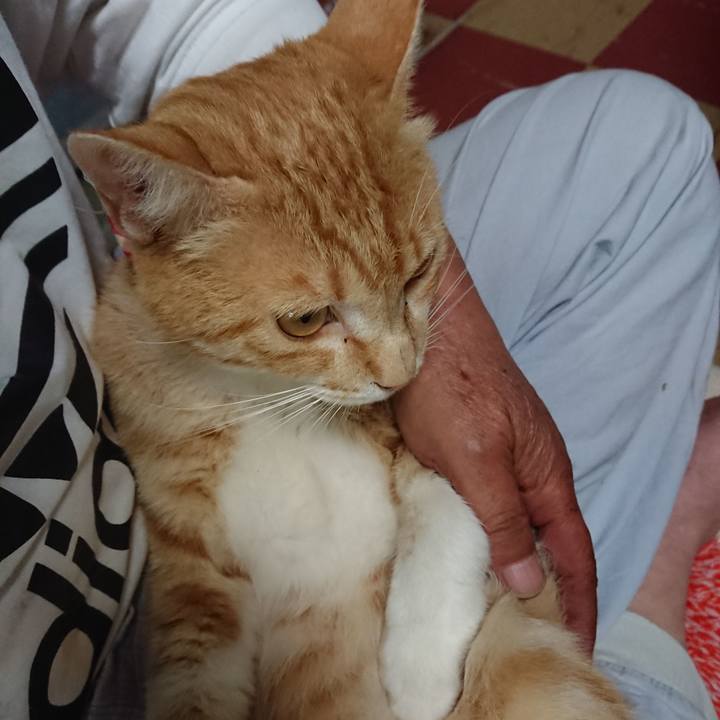 Ed05786c 3902 4d9c 9843 a9b1d7d3e600 1561502650272