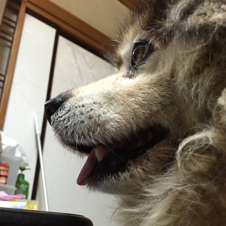 Ed05872c 7155 4c93 b78f 39abeff75d6b 1564096233508