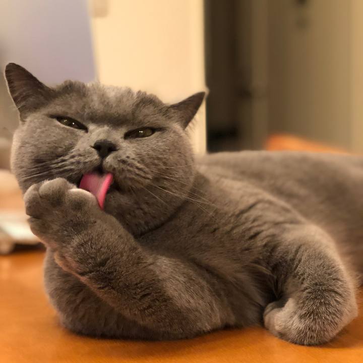 Ed05bb25 1367 4dee bc69 7413139dfcbd 1515846153052