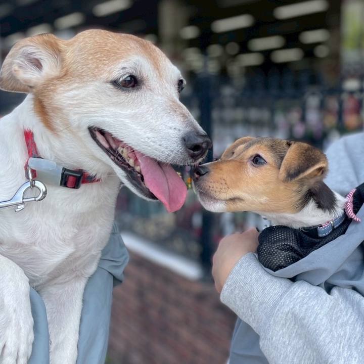 Ed05daf9 8a00 42f8 9df3 f88d021e5354 1743836532500