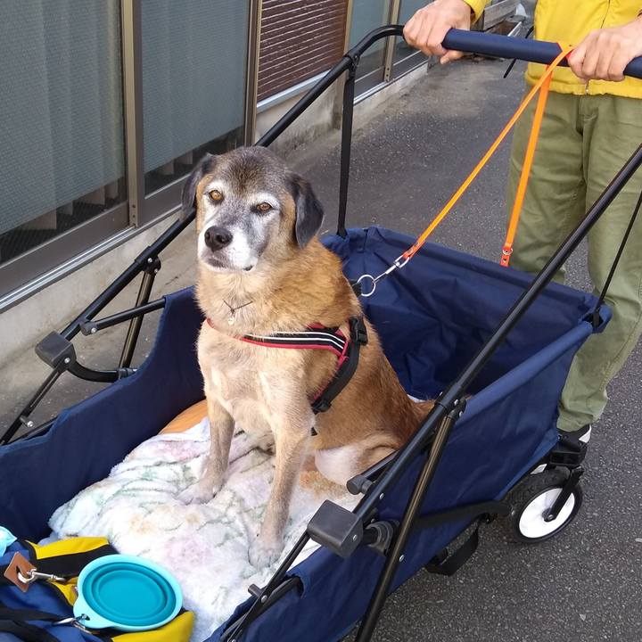 Ed05ea92 1e56 410c 935b b786a3250c0e 1573953681192