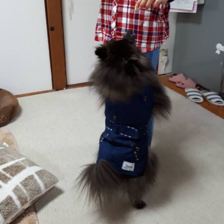 Ed061014 fb5e 4dd1 bdea daf8888926b8 1519516567394