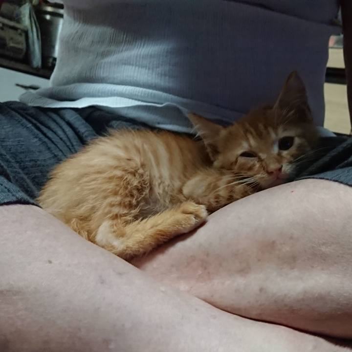 Ed062e24 ce9c 4ebd b650 cdc16c8c69d5 1627811083972