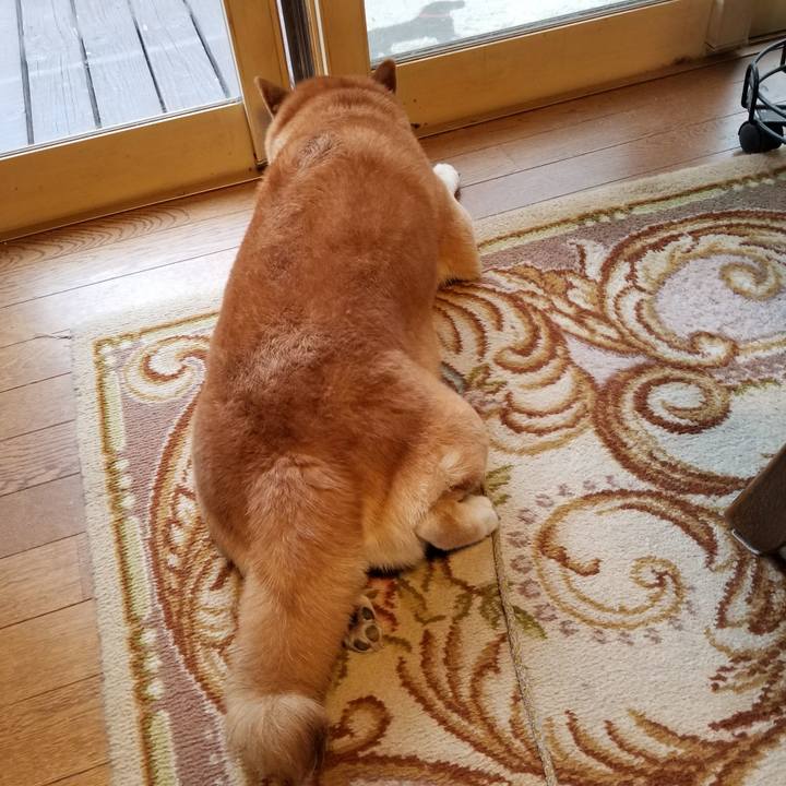 Ed06779e 1b75 48bc a8f3 642570230496 1568777526292