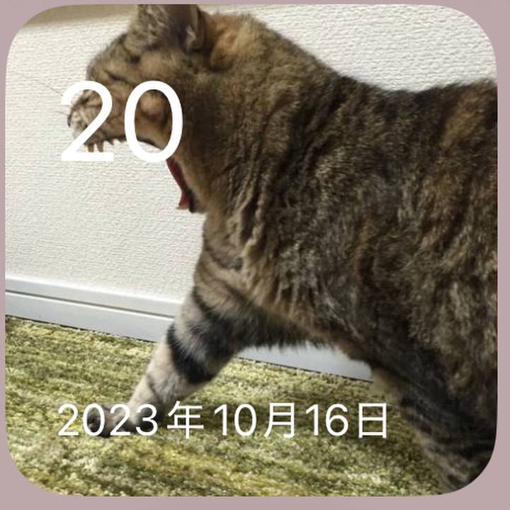 Ed068164 29b6 4c0f a697 b45d51d65340 1760967817546