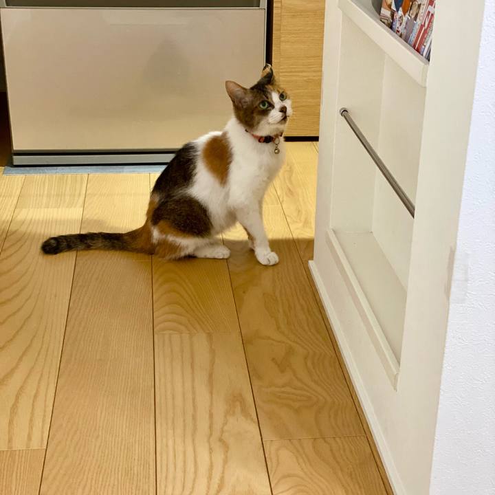 Ed06c53e 5386 4aeb 901f 4285f614332d 1660826229792