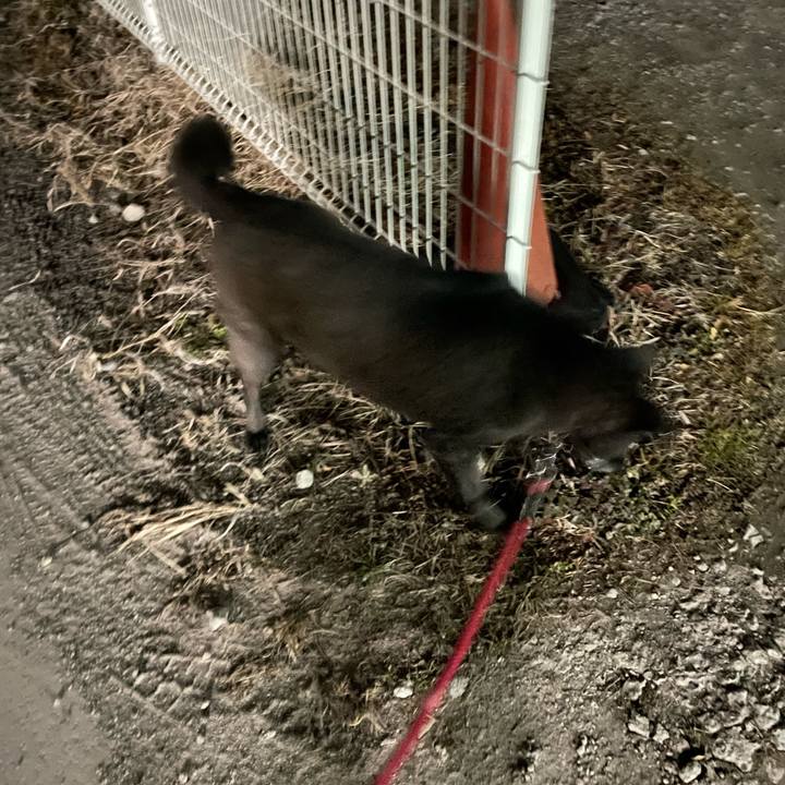 Ed06c82c 75a9 47a7 baf8 1a4391a9a966 1675437283408