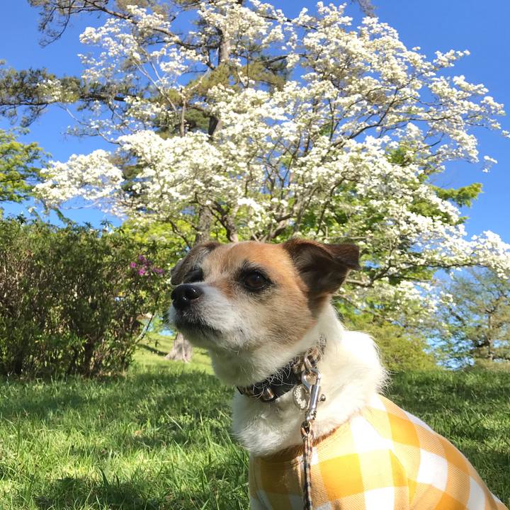 Ed06fee5 d389 4898 898b f443bf37a07b 1587258141050