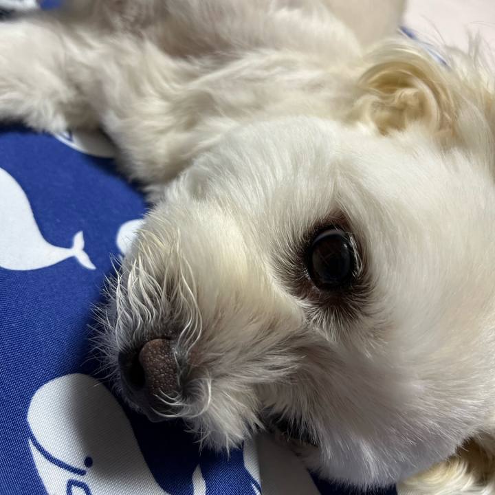 Ed0730cb 9447 4e44 bcf7 868485444a64 1659874946499