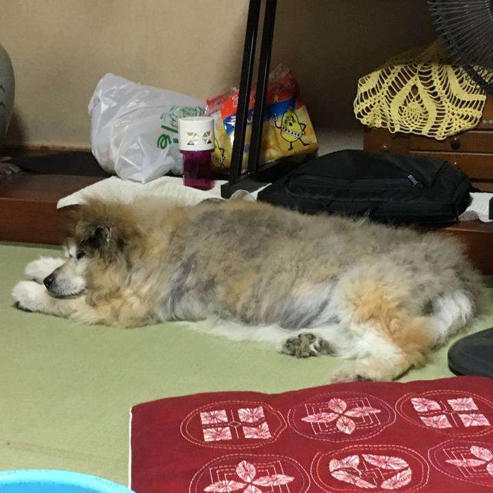 Ed074cc3 a727 4840 b2c6 afe686a7f257 1578993307605